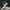 Nike sb force 58 photo 4