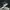 Nike sb force 58 photo 3