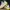 Adidas yeezy 350 photo 6
