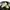 Adidas yeezy 350 photo 1