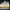 Adidas yeezy 350 photo 5