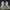 Adidas yeezy 350 photo 4