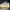 Adidas yeezy 350 photo 7