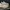 Adidas yeezy 350 photo 3