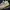 Adidas yeezy 350 photo 2
