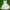 VENUS Nightgown Sleepwear dress princess fairy vintage coque photo 1