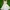 VENUS Nightgown Sleepwear Dress Princess Fairy Vintage Coque