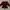 Blouse Knit Ballon Maroon GU photo 4