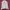 Tracktop adidas europe white  photo 1