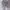 outer photo 2