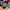 Doublefocus parachute balon cargopants photo 4