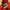 HELLY HANSEN PARKA JACKET photo 3