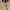 MLB Official Pittsburgh Pirates Eimbordery Gold Blouson Bomb photo 5