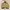 MLB Official Pittsburgh Pirates Eimbordery Gold Blouson Bomb