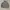 LYNXSPORT Grunge Indie Varsity jacket Pria gray photo 1