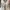 ZARA white eyelet coquette tank top milkmaid babydoll lace photo 8