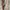 DOCKERS Size 49-50 Brown Leather Boat Shoes photo 5
