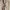 DOCKERS Size 49-50 Brown Leather Boat Shoes photo 6
