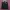 Tracktop kappa black green  photo 1