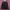 Tracktop kappa black green  photo 2