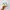 Hoka One-One Clifton 9 Cream Yellow Foam photo 4