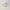 Hoka One-One Clifton 9 Cream Yellow Foam photo 1