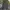 Japanese relaxed pants green olive baggy fit photo 6
