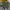 Japanese relaxed pants green olive baggy fit photo 5
