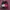 Hoodie supreme mark photo 2