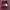 Hoodie supreme mark photo 1