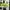 SAUCONY ENDORPHIN SPEED 4 RUNNING photo 1