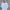 Patagonia Streetwear T-shirt Pria white photo 2