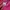 Hoodie adidas trefoil women pink photo 4