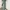 Japanese baggy jeans green washed loose fit photo 3