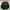 Army Jacket