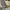 Soleil Foster Outdoor Olive Green And Cream Folding Chair