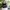 Nike Air Jordan legacy 312 low photo 2