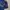 Adidas Sportswear Jersey Pria gold navy red blue photo 4