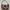LeSportsac Y2K Shoulder bag Wanita tan brown photo 2