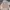 Sportswear Casual Sweater Pria tan brown photo 1