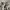 baggy jeans white custom photo 6