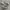 Vans SK8 High Grey White photo 1
