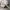 Vans SK8 High Grey White photo 5