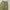 carpanter pants baggy fit photo 6