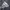 Jacket Windbreaker by Adidas photo 7