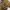 Comme Ca Ism Canvas Double Zipper Harrington Jacket  photo 6