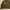 Comme Ca Ism Canvas Double Zipper Harrington Jacket  photo 3