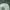 Topi visor Balk Hai full bordier photo 3