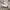 NEW BALANCE FREASH FOAM photo 1