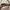 Y2K Shoulder bag Wanita tan brown photo 6